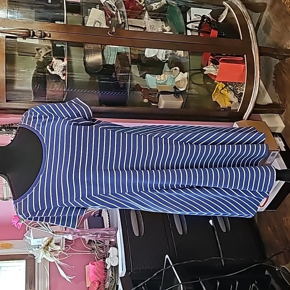 WHBM striped dress